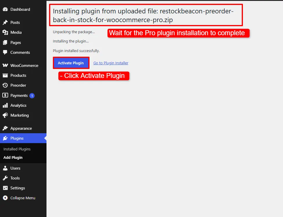 WordPress installing the Pro plugin, with the Activate Plugin button