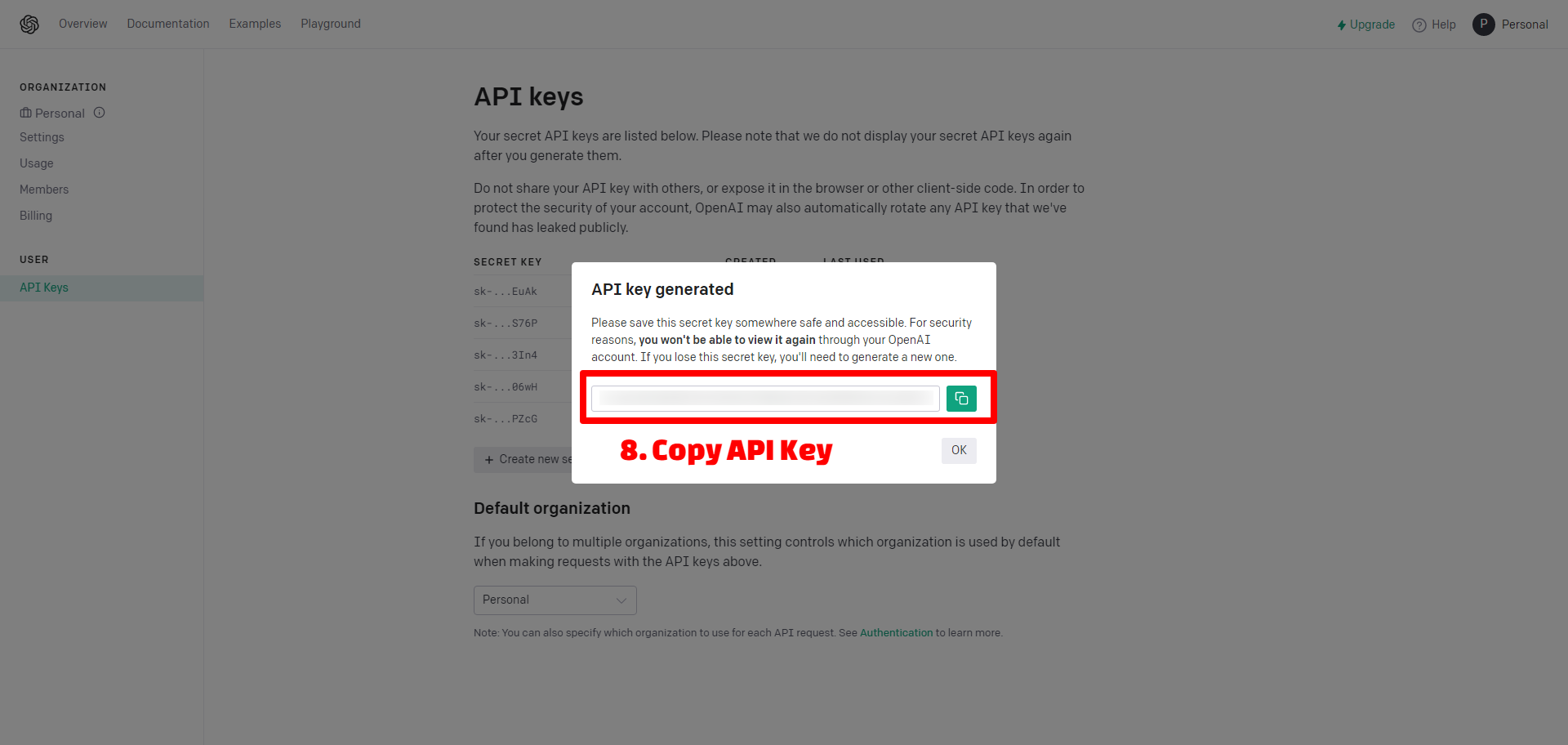 Copy API Key